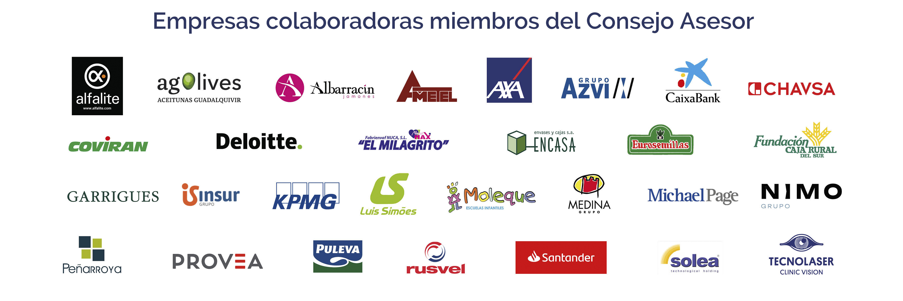 Consejo Asesor