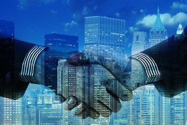 Professional and Complementary B2B Services Martínez-Echevarría